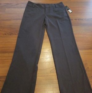 (12) NWT Daisy Fuentes Grey Dress Pants